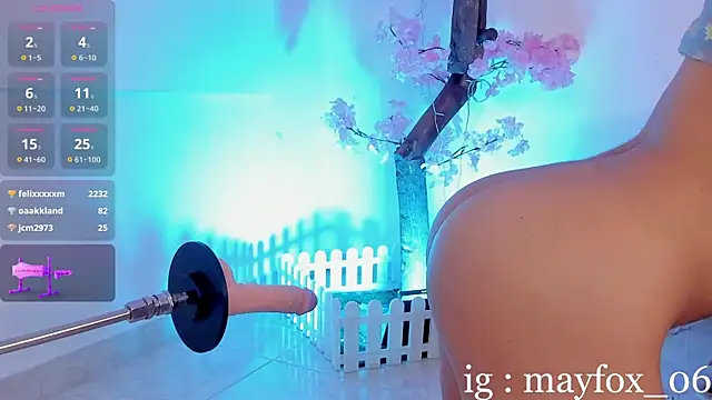 May_Fox_ webcam
