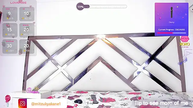 mitzukywinteer webcam