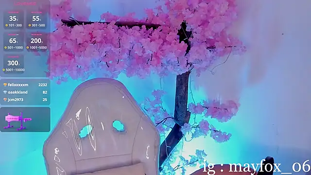 May_Fox_ webcam