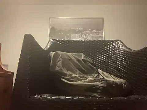 Tyyson03 webcam