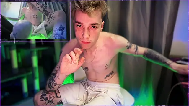 davesinner webcam