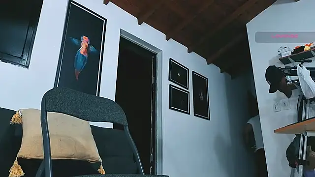 SilvaBranko webcam