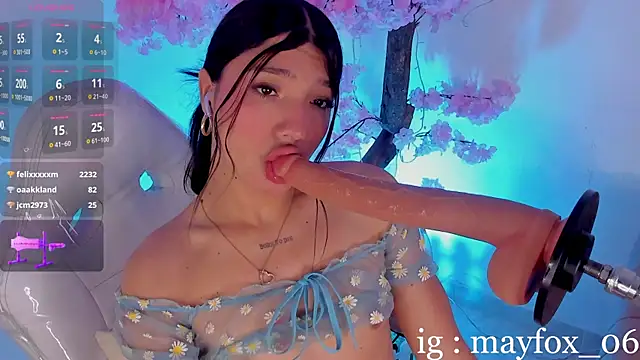 May_Fox_ webcam