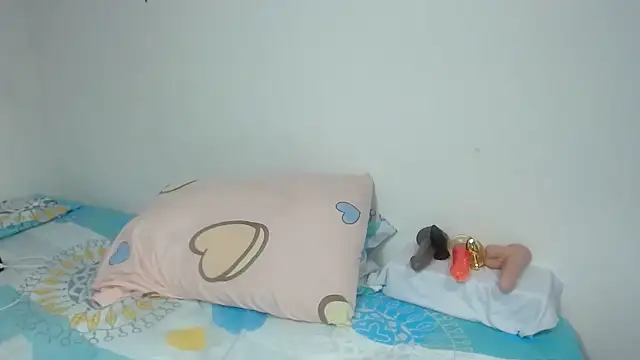 Agatha_browser webcam