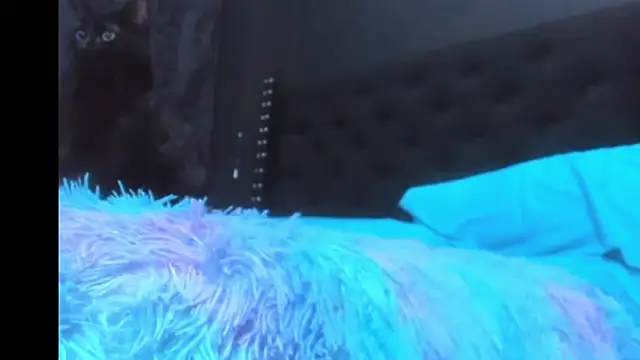amareto_queen webcam