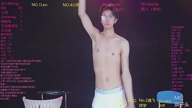 AAA-winner webcam