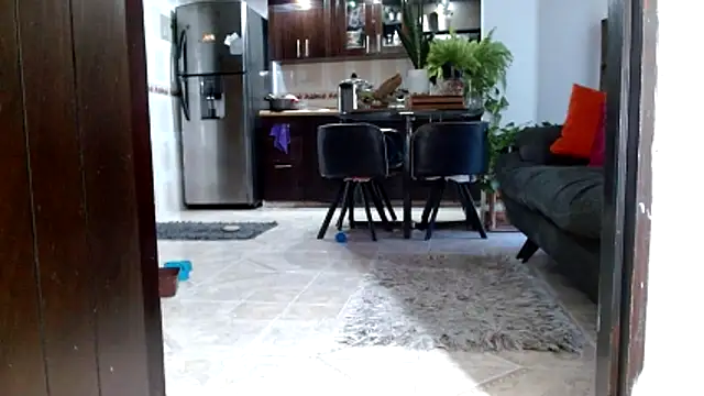 Diosasky webcam