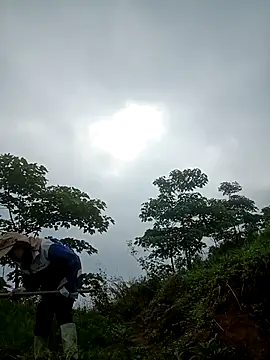 nangmo webcam