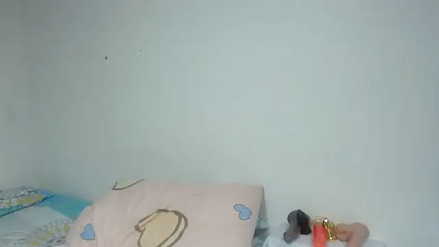 Agatha_browser webcam