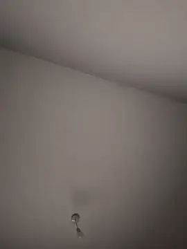 slutytransgal webcam