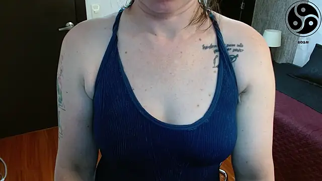 lincebdsm webcam