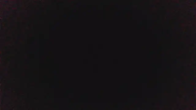 pinkycat webcam