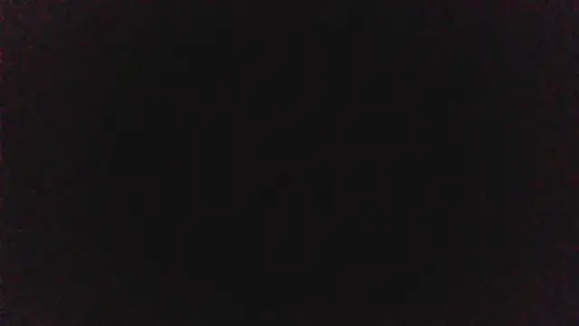 pinkycat webcam