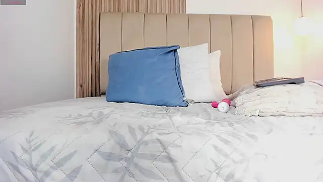 EvaaSinclair webcam
