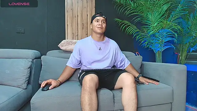 angelstream webcam