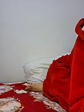 altinya webcam