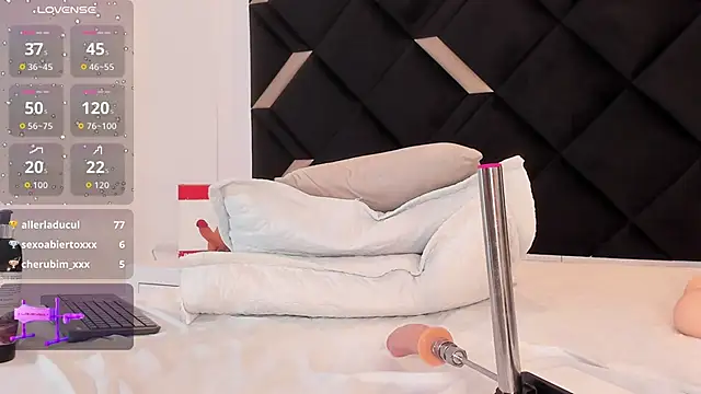 Alexa_Handler webcam