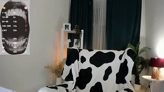 evathority webcam