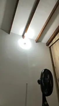 Arilw webcam