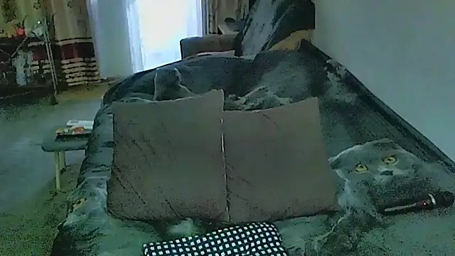 sex2 webcam