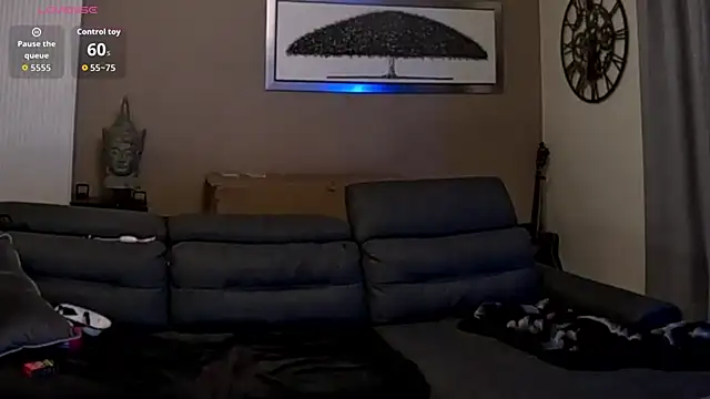 ApollonFit_x webcam