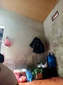 Lyly22x webcam