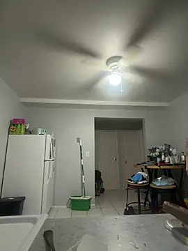 BSM4824 webcam