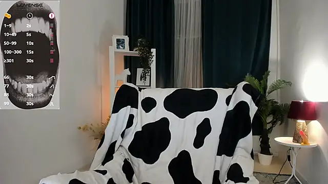 evathority webcam