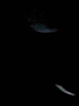 BlackVBarbie webcam