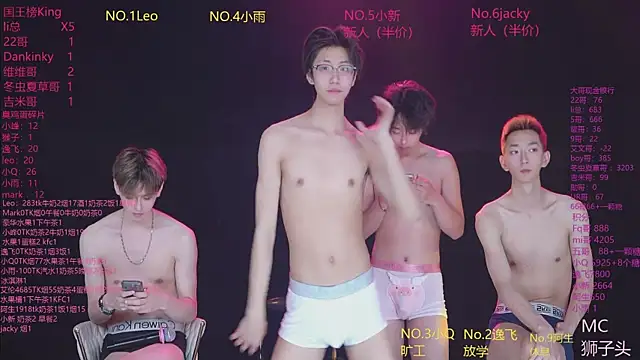 AAA-winner webcam