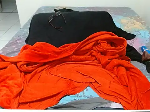 vaholiver webcam