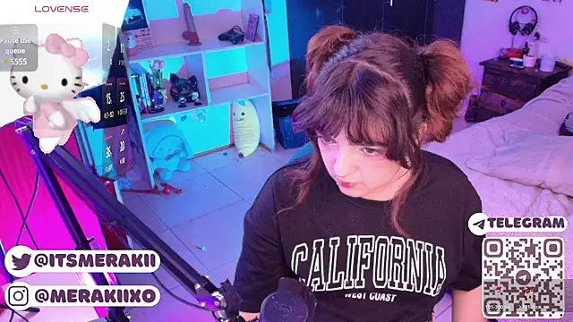 meraki_fraise webcam