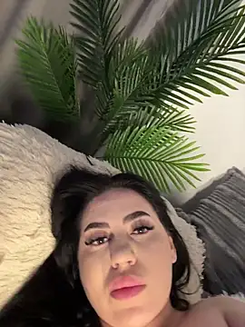 Andrestarr webcam
