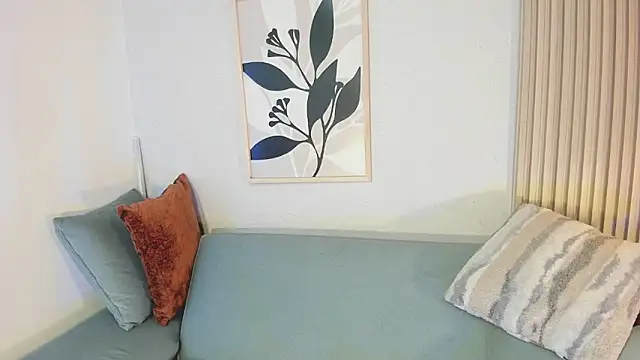 KassMonroe webcam