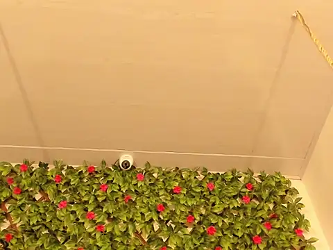 Modèle: Lux_Royse