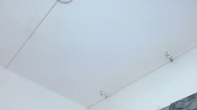 ladymooncs webcam