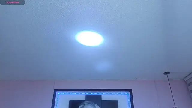 Milly_1_x webcam