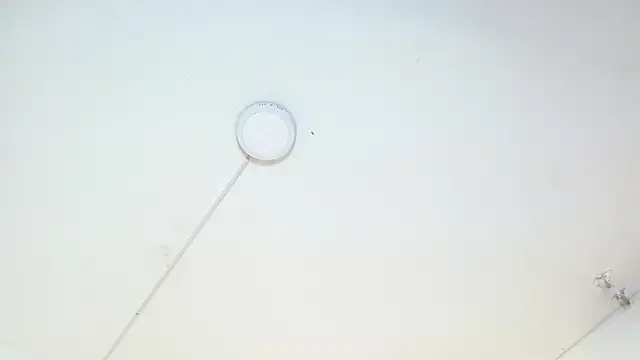 ladymooncs webcam