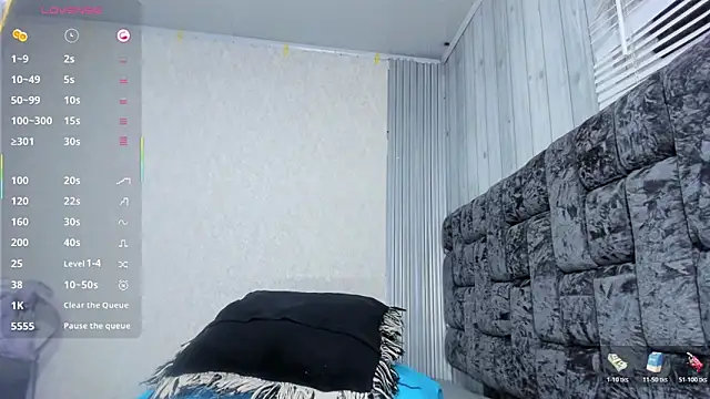 Brizza_H033 webcam
