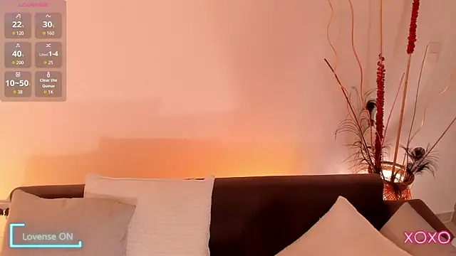 saracavali webcam