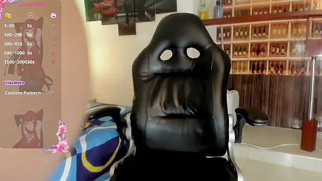 _Shirley_ webcam
