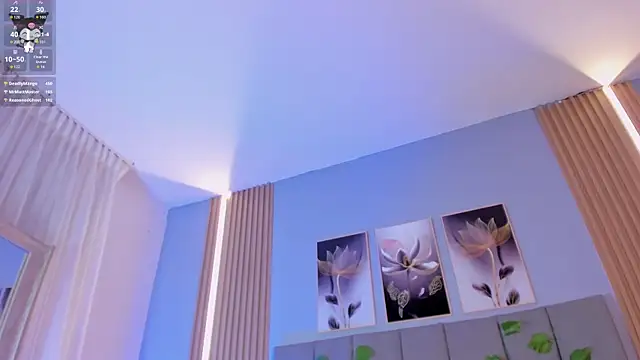 StellarKitty_ webcam
