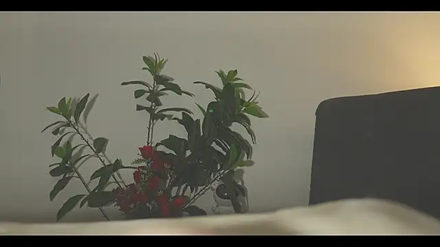 LorenRosse webcam