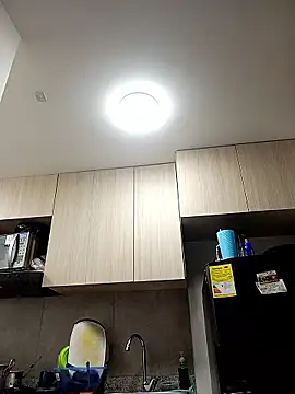 Ary- webcam