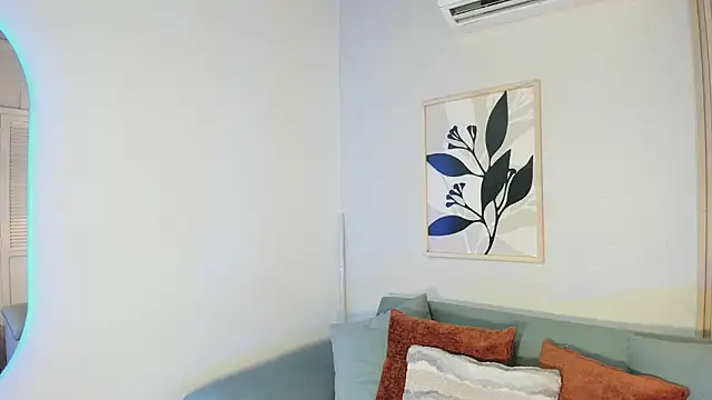 KassMonroe webcam