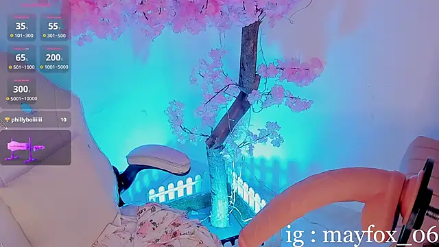 May_Fox_ webcam