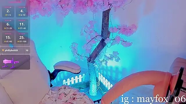 May_Fox_ webcam