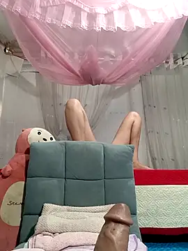 MilkShow webcam