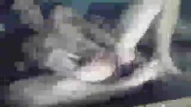 chceciedalsiebie webcam