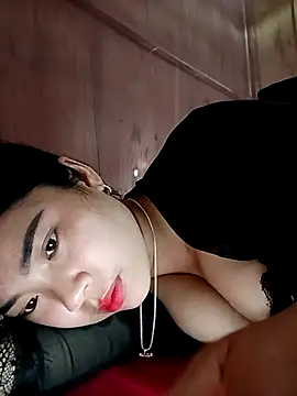 Nul_chal webcam